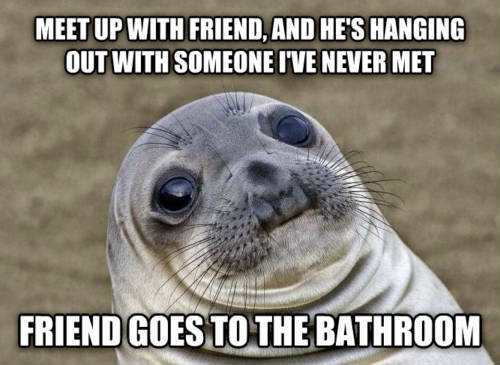 worried seal is the new meme that perfectly sums up your life ?width=500&version=1422386 worried seal is the new meme that perfectly sums up your life